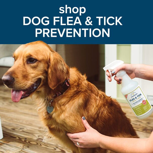 Shop Dog Flea & Tick Prevention